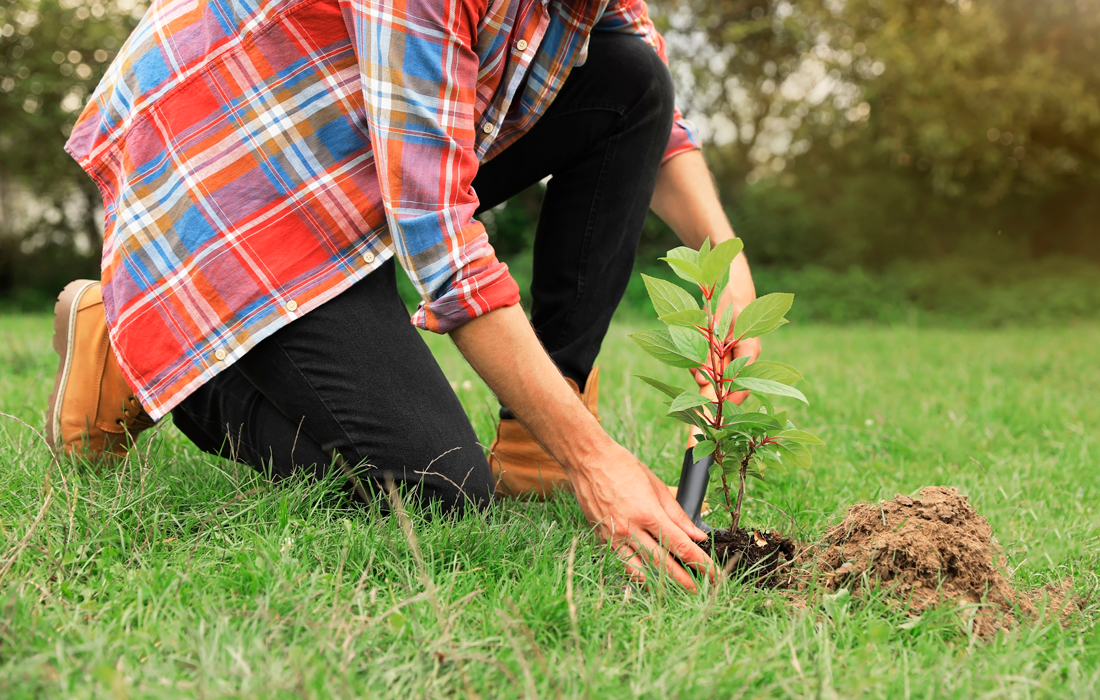 Diplomado en Educación y gestión ambiental