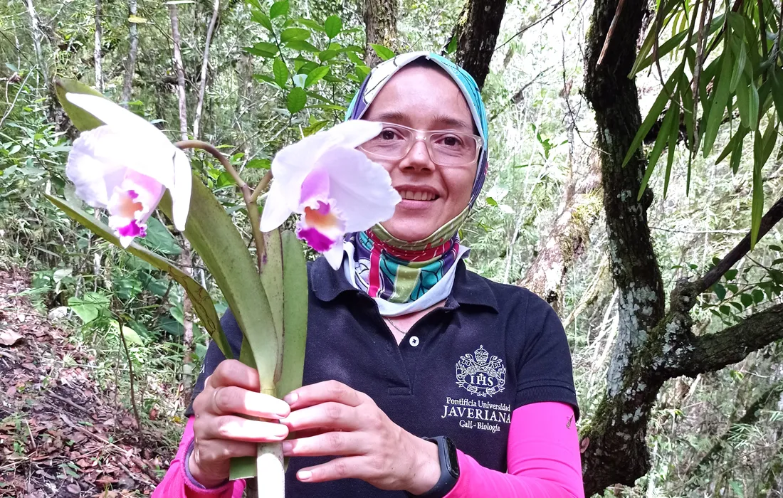 Estudio de profesora javeriana revela que fragmentación de los bosques afecta a población de orquídeas epífetas