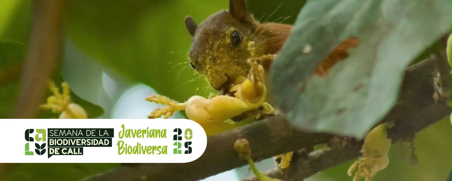 Javeriana Biodiversa 2025
