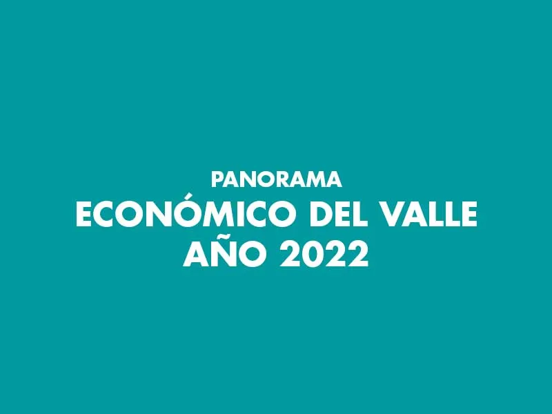 Panorama Económico del Valle 2022