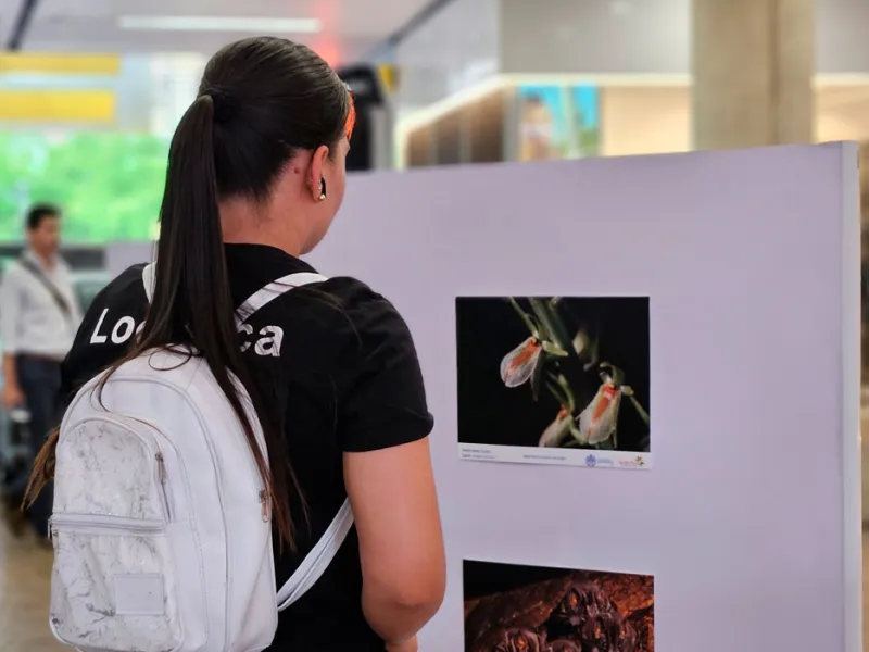 Muralismo y fotografía, una oda a la biodiversidad de la Javeriana Cali que engalana los pasillos del Centro Comercial Jardín Plaza 