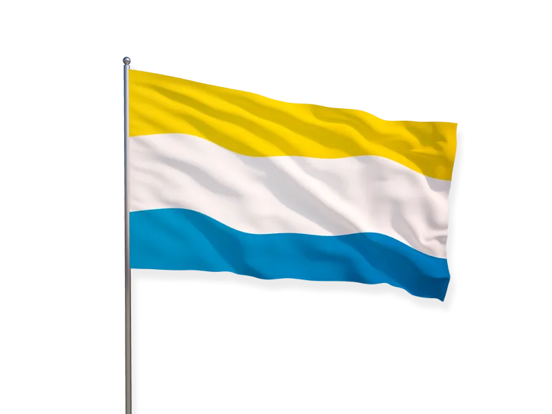 Bandera PUJ