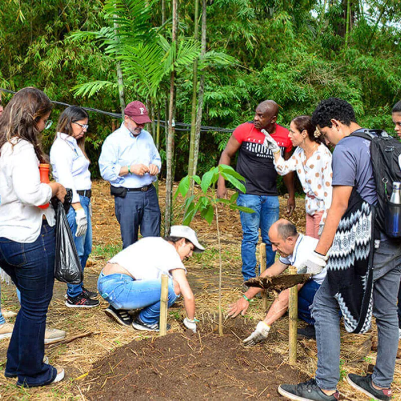 Urge buscar soluciones que le den nuevas oportunidades a la Tierra