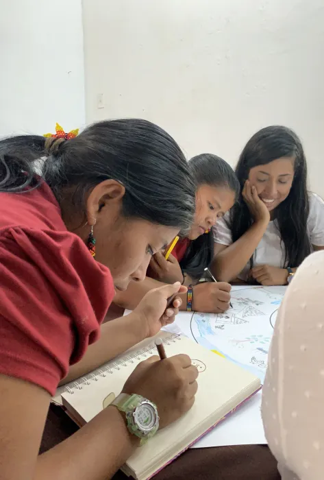 Desarrollo de proceso formativo en Participación e Incidencia Política de Mujeres Rurales, Campesinas, Indígenas y Afro. Desarrollo de proceso formativo en Participación e Incidencia Política de Mujeres Rurales, Campesinas, Indígenas y Afro.